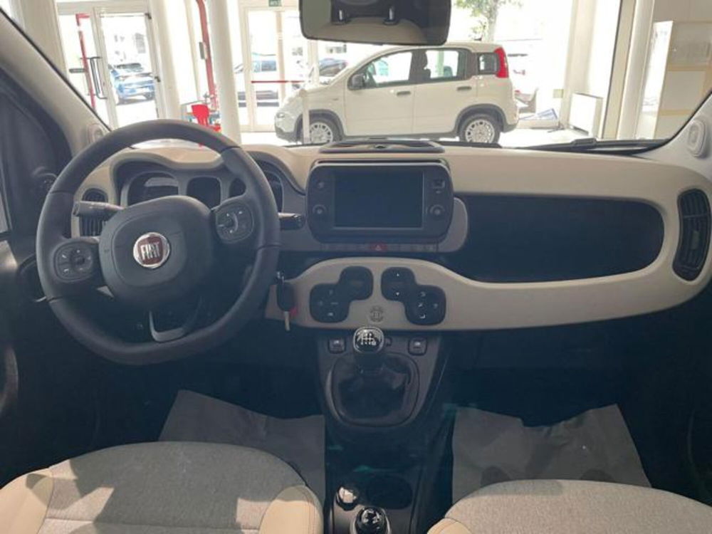 Fiat Panda nuova a Cuneo (14)