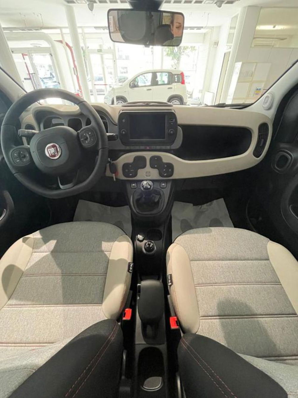 Fiat Panda nuova a Cuneo (16)