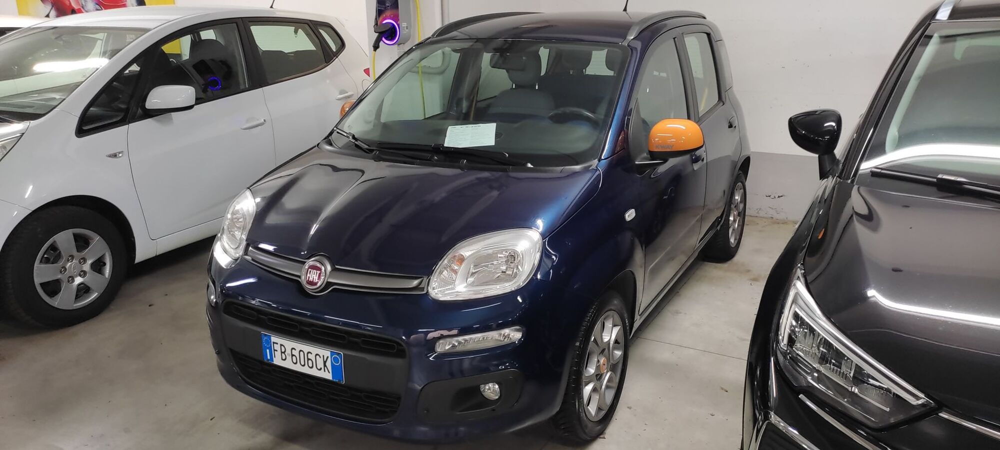 Fiat Panda 1.2 K-Way del 2015 usata a Prato