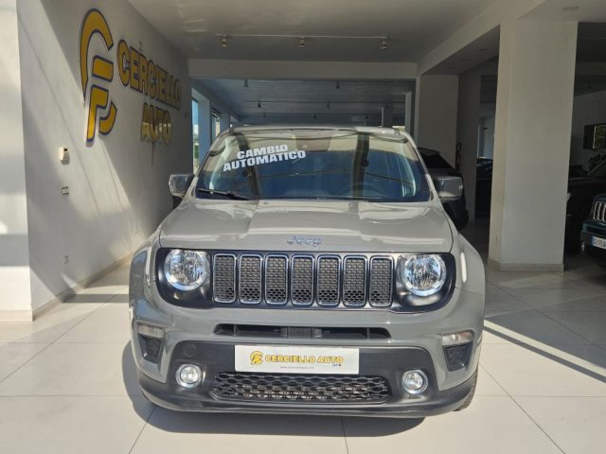 Jeep Renegade 1.6 Mjt DDCT 120 CV Business  del 2020 usata a Somma Vesuviana