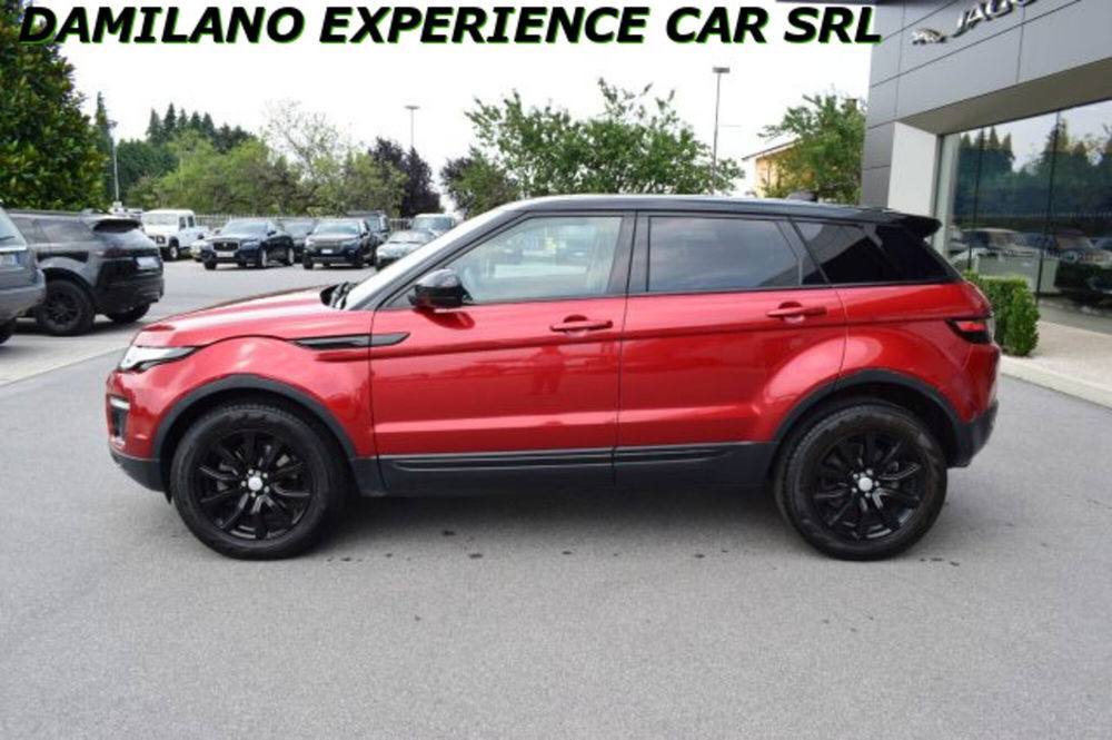 Land Rover Range Rover Evoque usata a Cuneo (4)