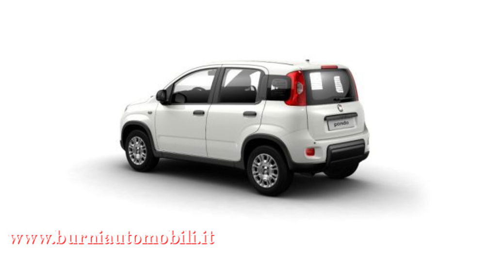 Fiat Panda nuova a Milano (2)