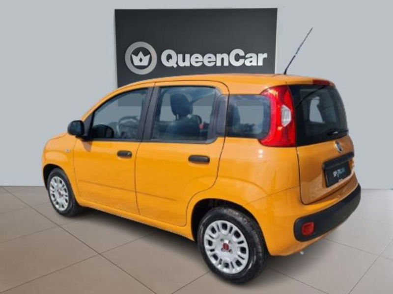 Fiat Panda 1.0 firefly hybrid s&amp;s 70cv 5p.ti del 2021 usata a Pianezza