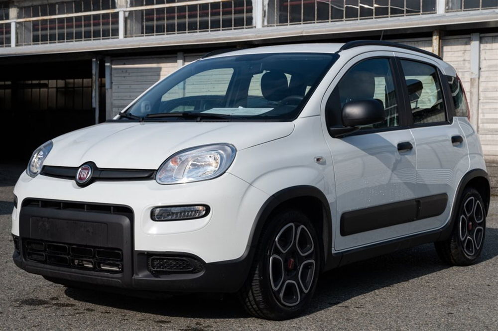 Fiat Panda usata a Torino