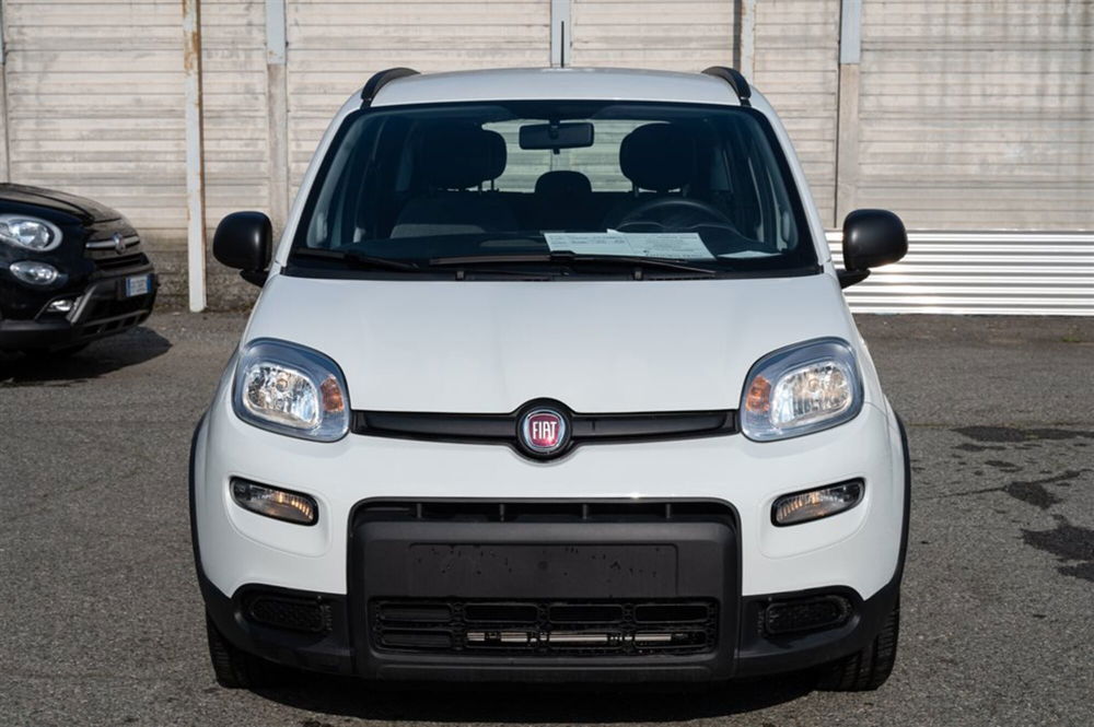 Fiat Panda usata a Torino (2)