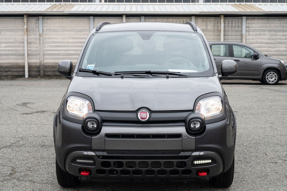 Fiat Panda usata a Torino (2)