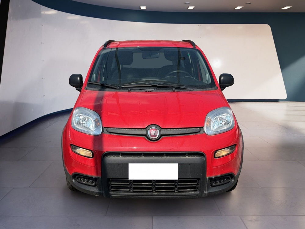 Fiat Panda usata a Torino