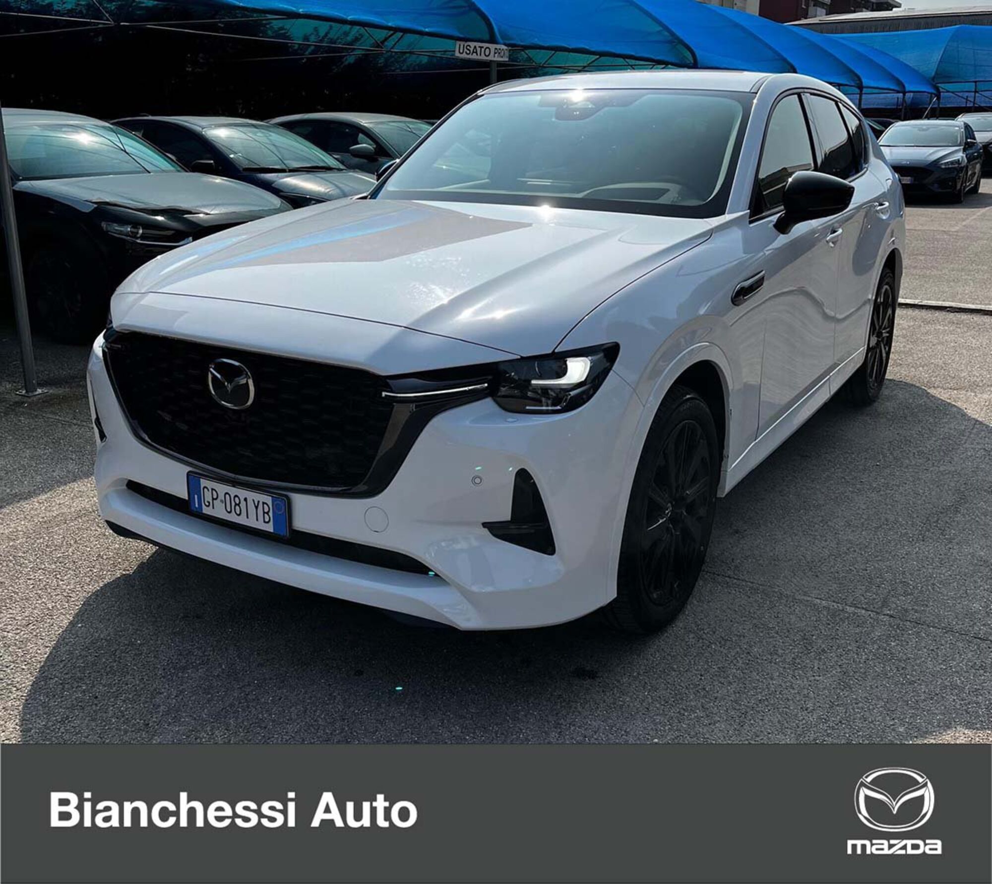 Mazda CX-60 3.3L e-Skyactiv D 249 CV M Hybrid AWD Homura del 2023 usata a Cremona