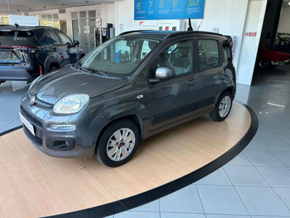 Fiat Panda usata a Alessandria (4)