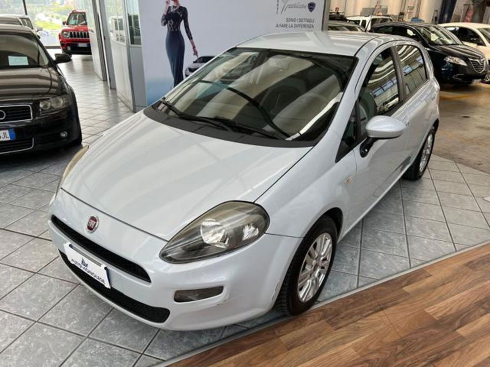 Fiat Punto usata a Modena