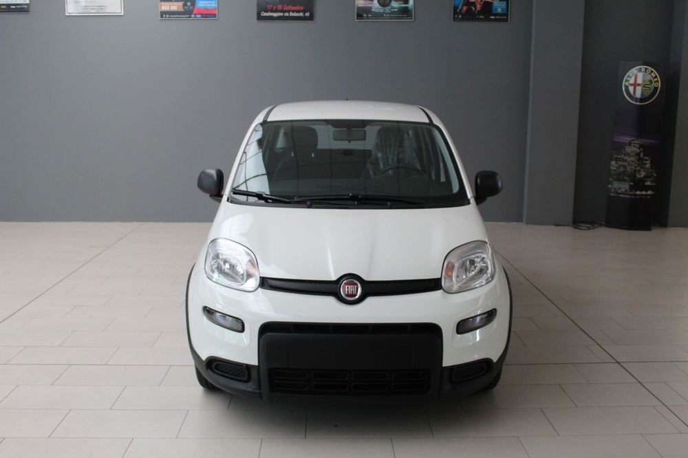 Fiat Panda Cross nuova a Cremona (4)