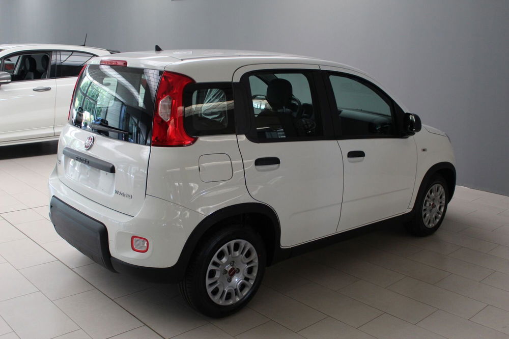 Fiat Panda Cross nuova a Cremona (5)