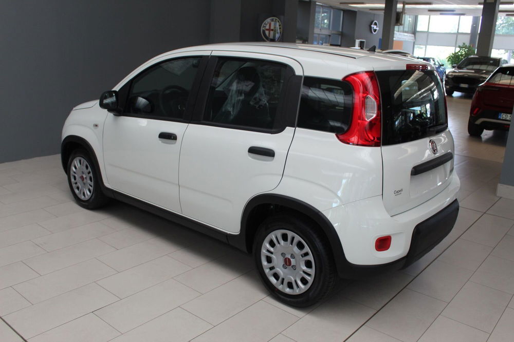 Fiat Panda Cross nuova a Cremona (6)