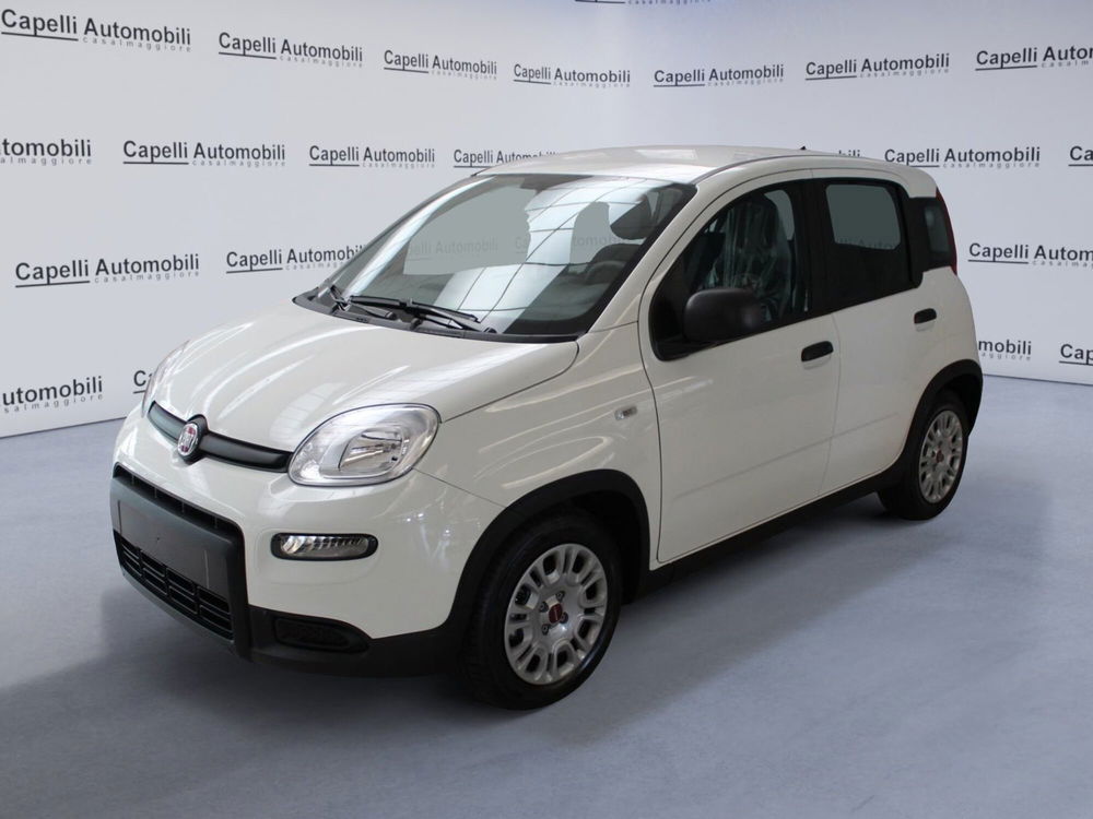 Fiat Panda Cross nuova a Cremona