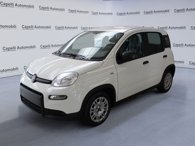 Fiat Panda Cross Cross 1.0 FireFly S&amp;S Hybrid  nuova a Casalmaggiore