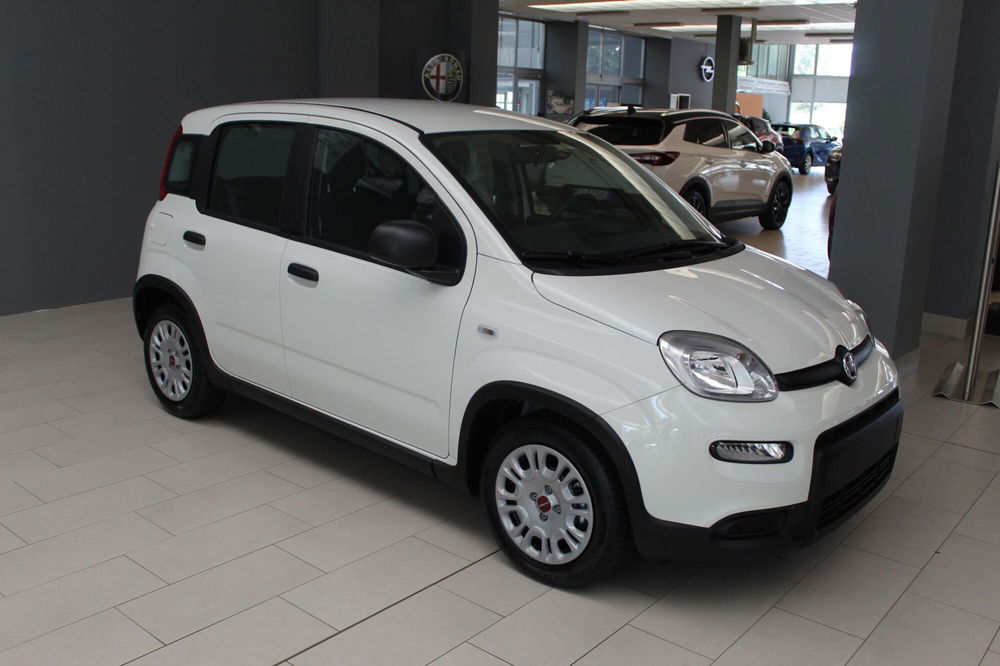 Fiat Panda nuova a Cremona (2)