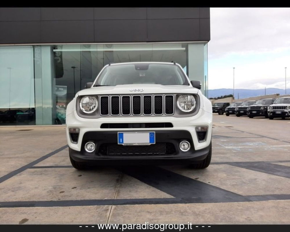 Jeep Renegade usata a Catanzaro (2)