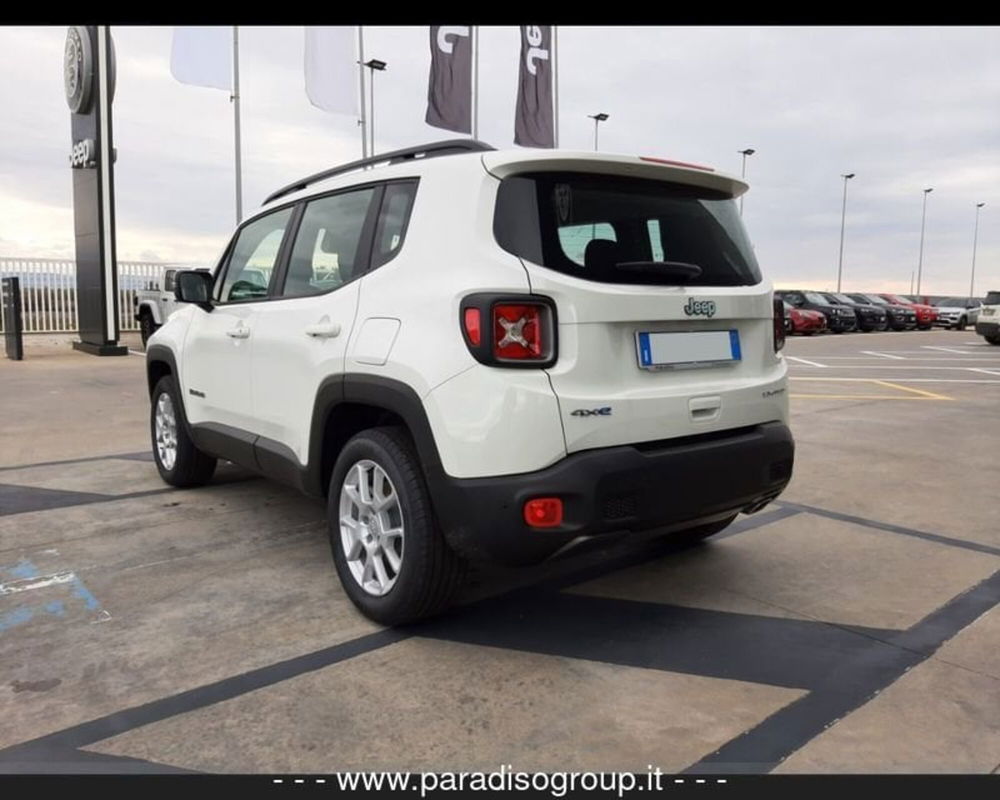 Jeep Renegade usata a Catanzaro (3)