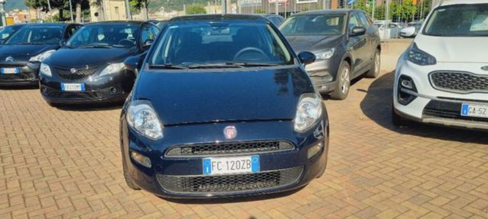 Fiat Punto usata a Savona