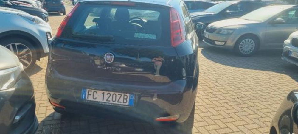 Fiat Punto usata a Savona (19)