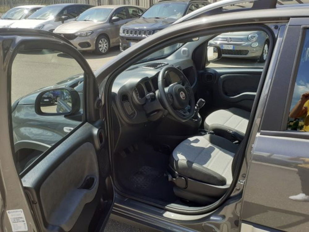 Fiat Panda Cross usata a Firenze (10)