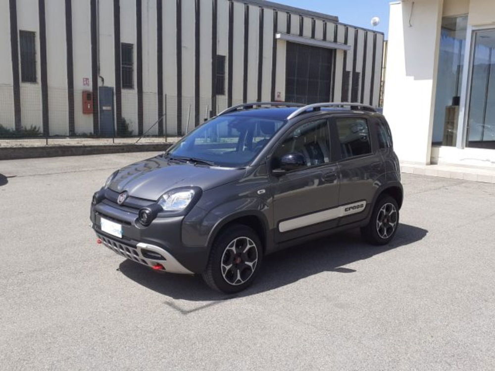 Fiat Panda Cross usata a Firenze (8)