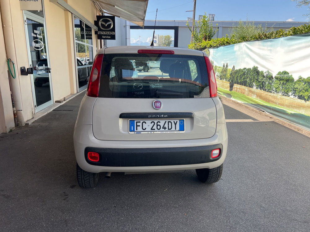 Fiat Panda usata a Lucca (2)