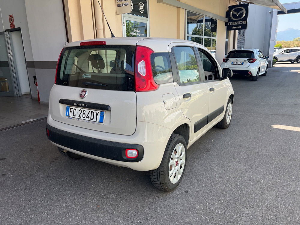 Fiat Panda usata a Lucca (3)