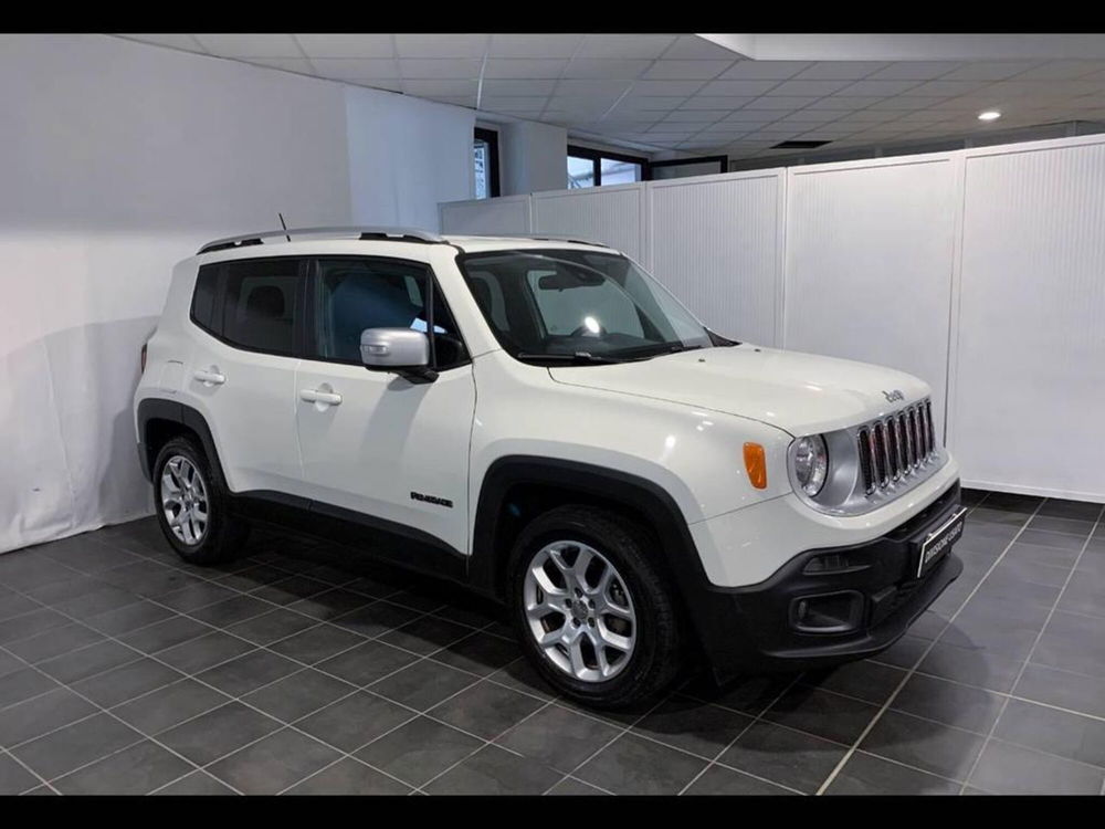 Jeep Renegade usata a Torino (14)