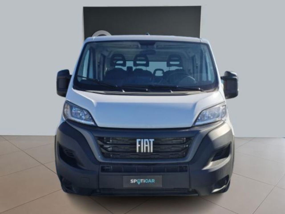 Fiat Ducato Cabinato nuova a Torino (12)