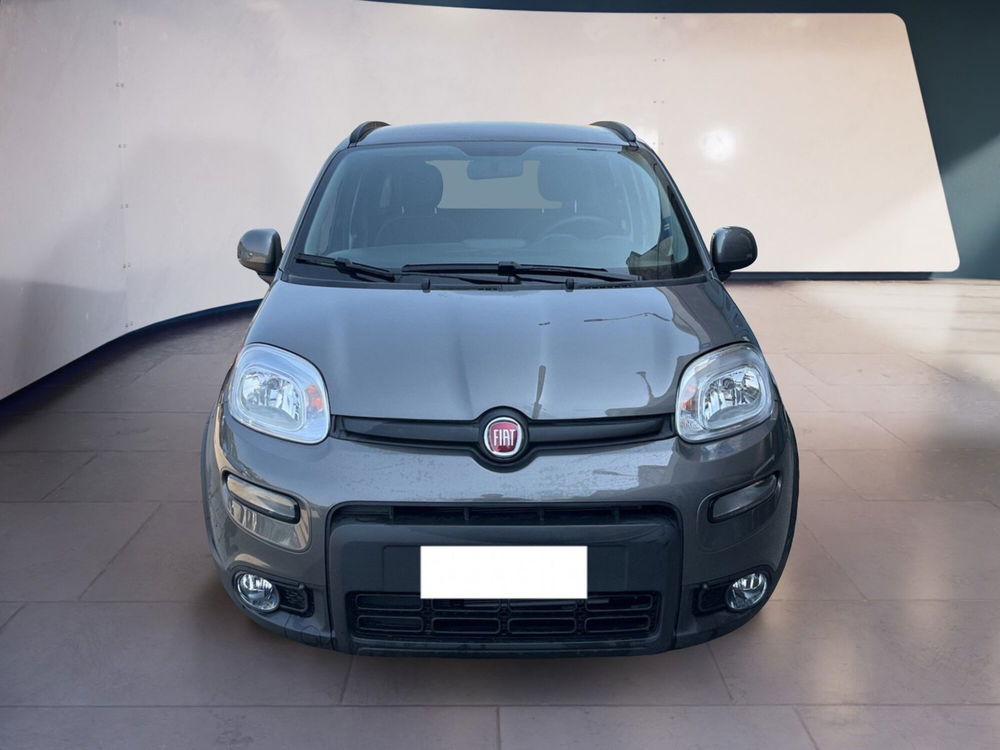 Fiat Panda usata a Torino