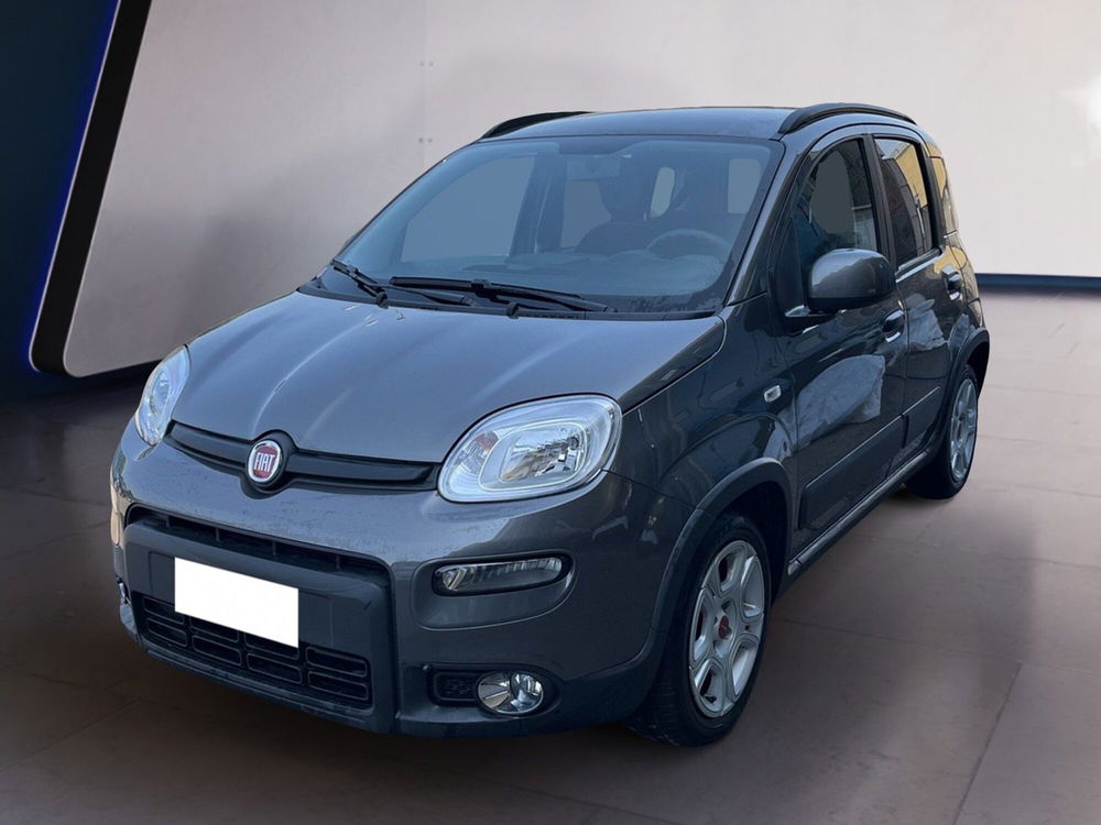 Fiat Panda usata a Torino (2)