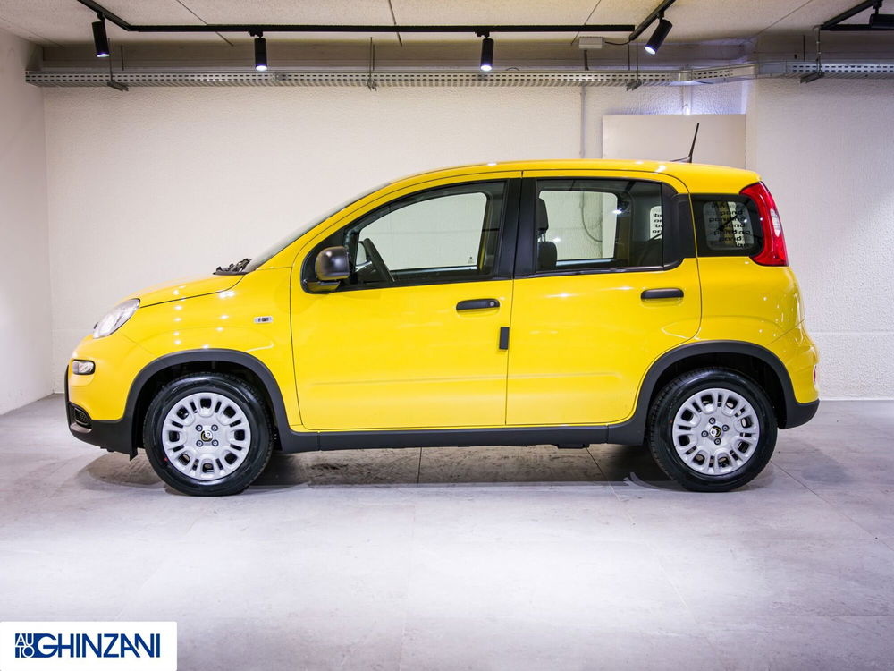 Fiat Panda Cross nuova a Bergamo (4)