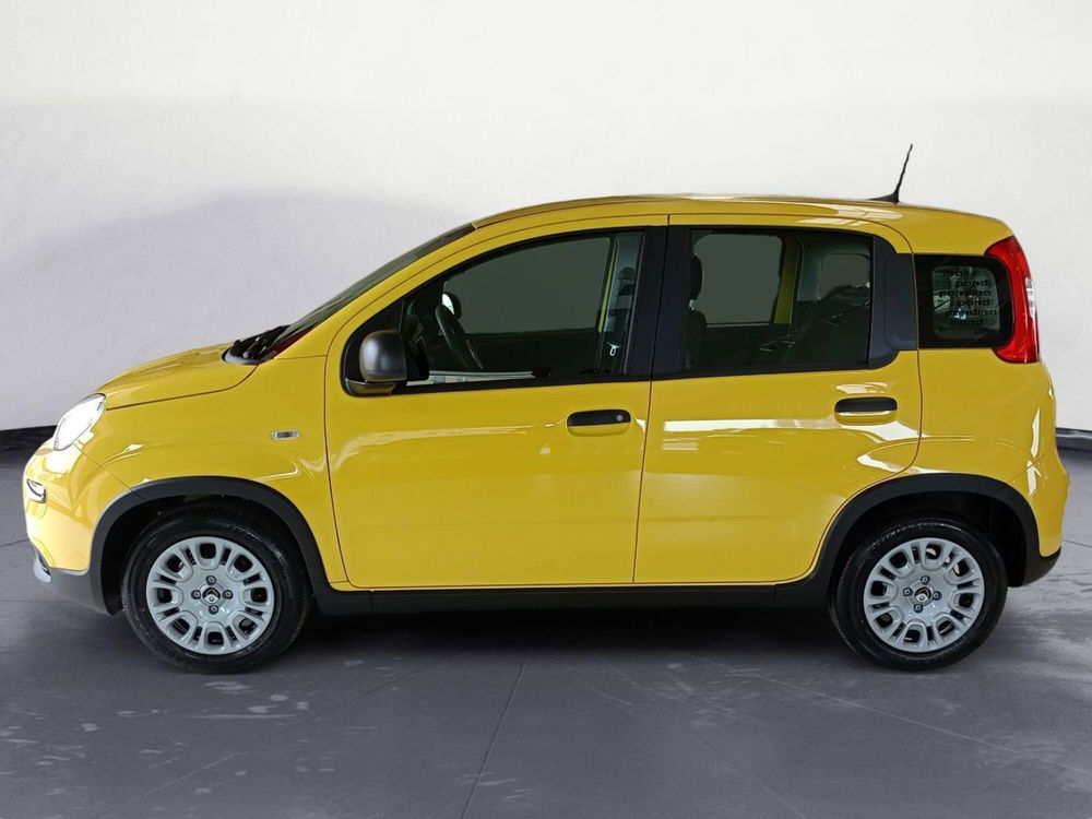 Fiat Panda Cross nuova a Pordenone (2)