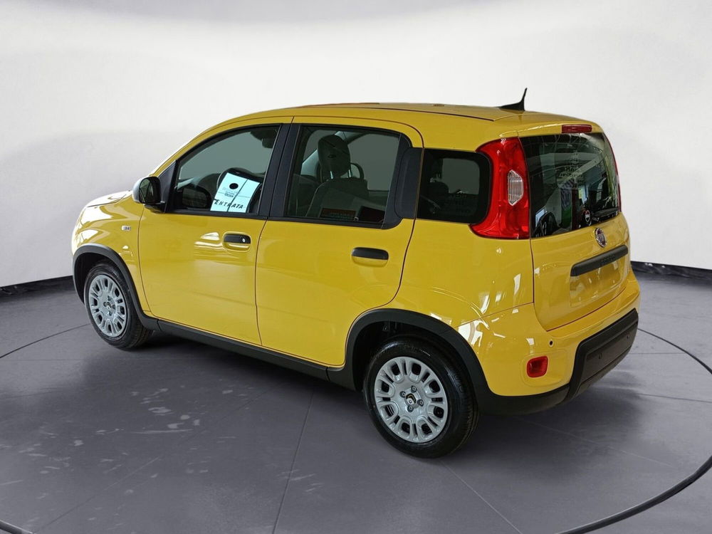 Fiat Panda Cross nuova a Pordenone (3)