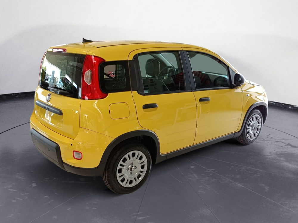 Fiat Panda Cross nuova a Pordenone (5)