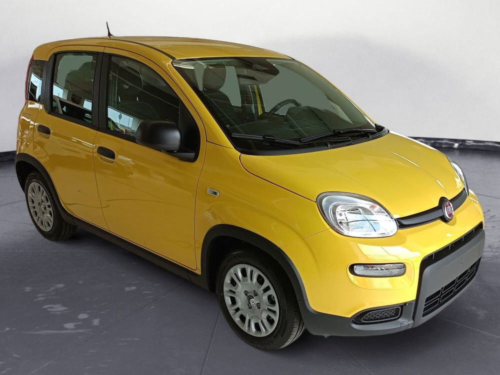 Fiat Panda Cross nuova a Pordenone (6)