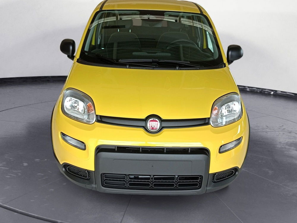 Fiat Panda Cross nuova a Pordenone (7)