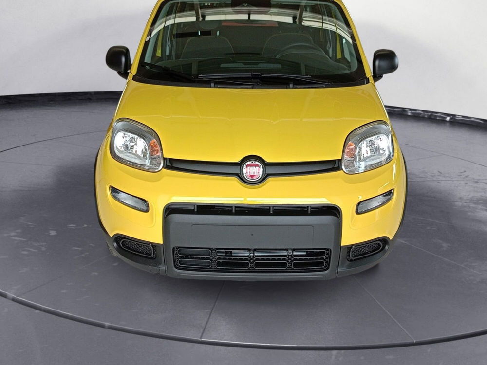 Fiat Panda Cross nuova a Pordenone (8)