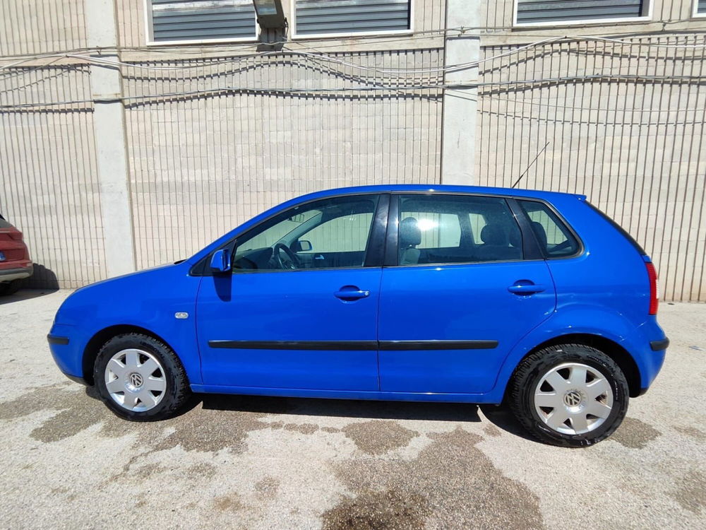 Volkswagen Polo usata a Foggia (7)