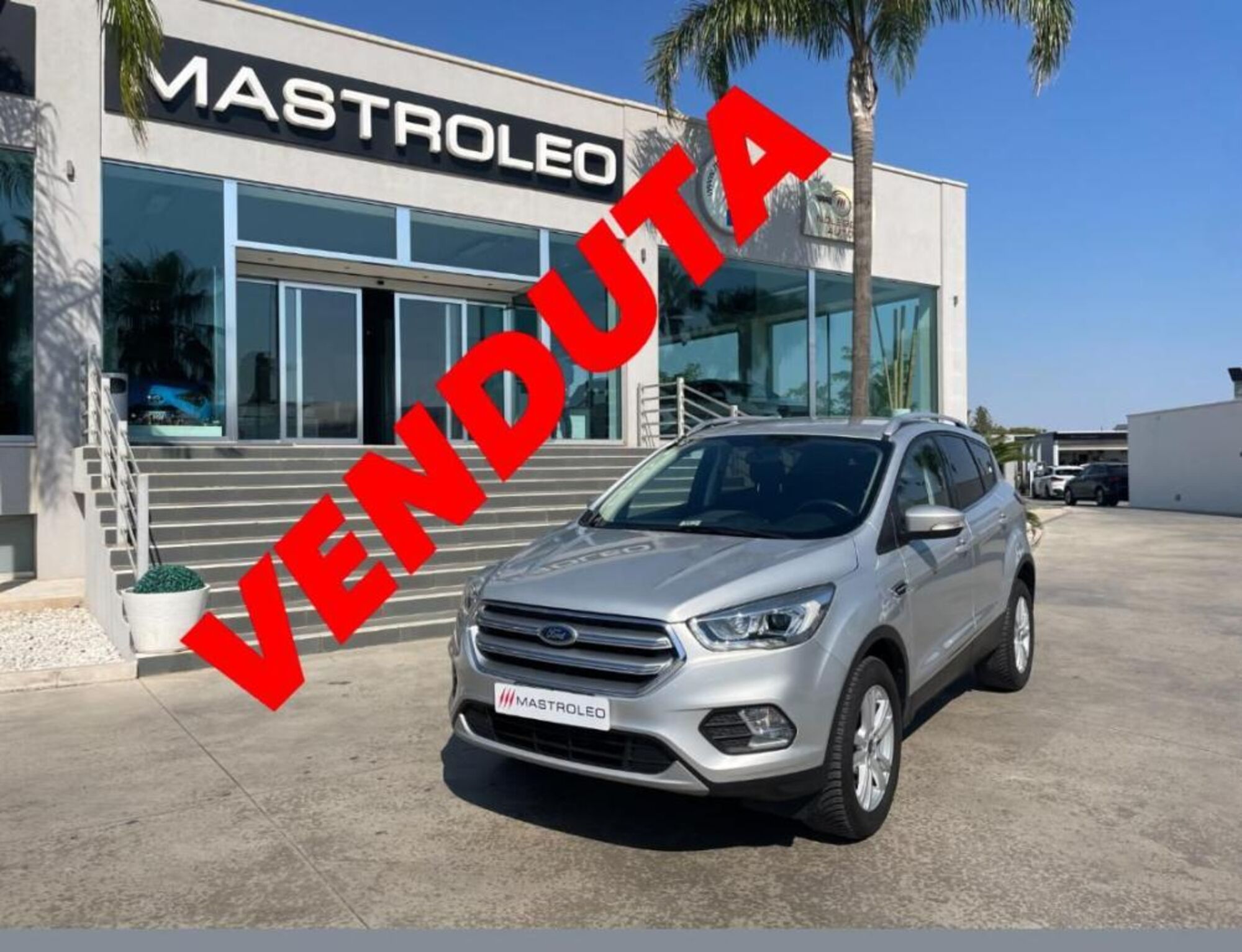 Ford Kuga 1.5 TDCI 120 CV S&amp;S 2WD Powershift Titanium Business del 2019 usata a Tricase