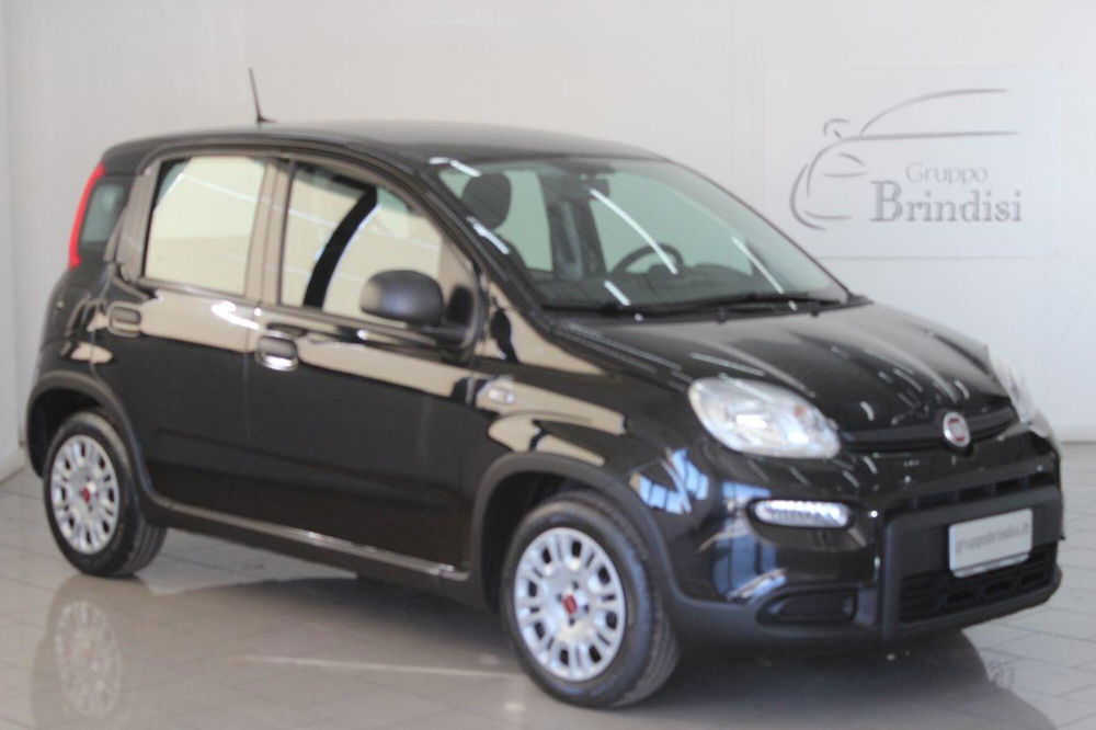 Fiat Panda usata a Potenza