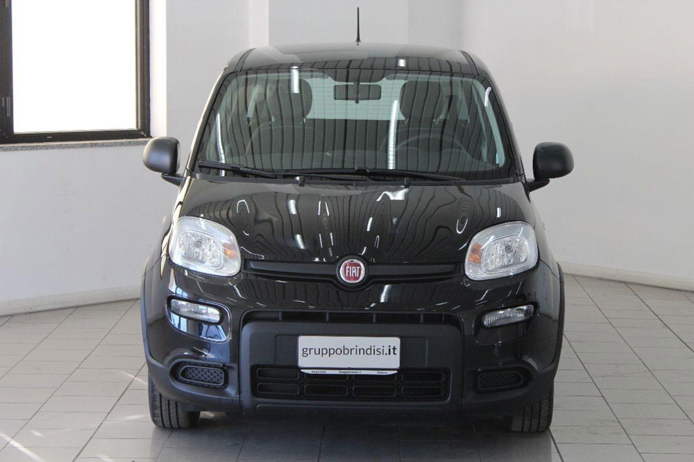 Fiat Panda usata a Potenza (2)