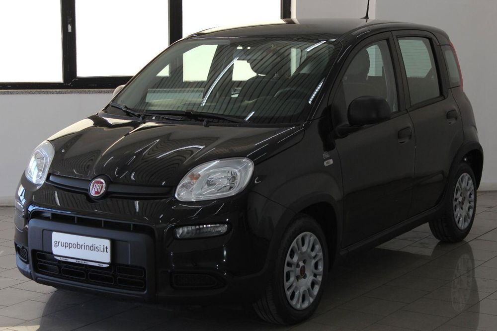 Fiat Panda usata a Potenza (3)