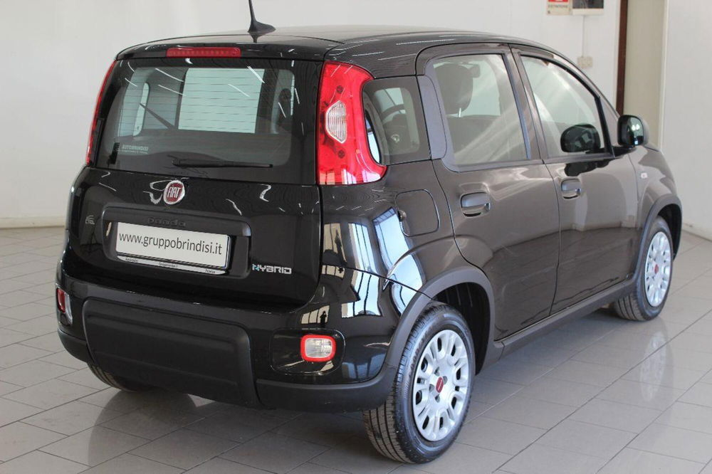 Fiat Panda usata a Potenza (4)