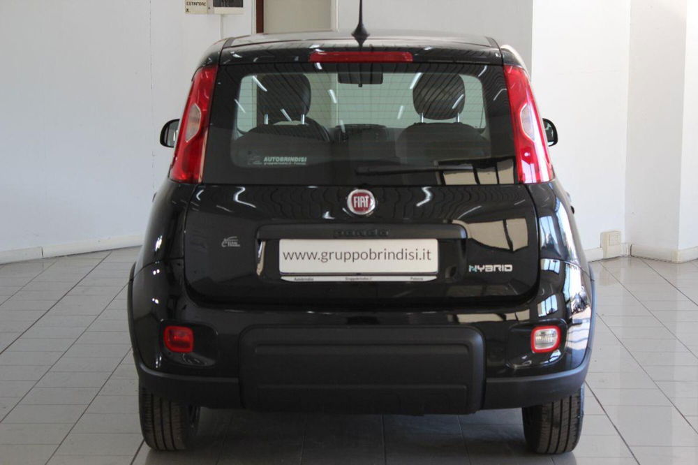 Fiat Panda usata a Potenza (5)