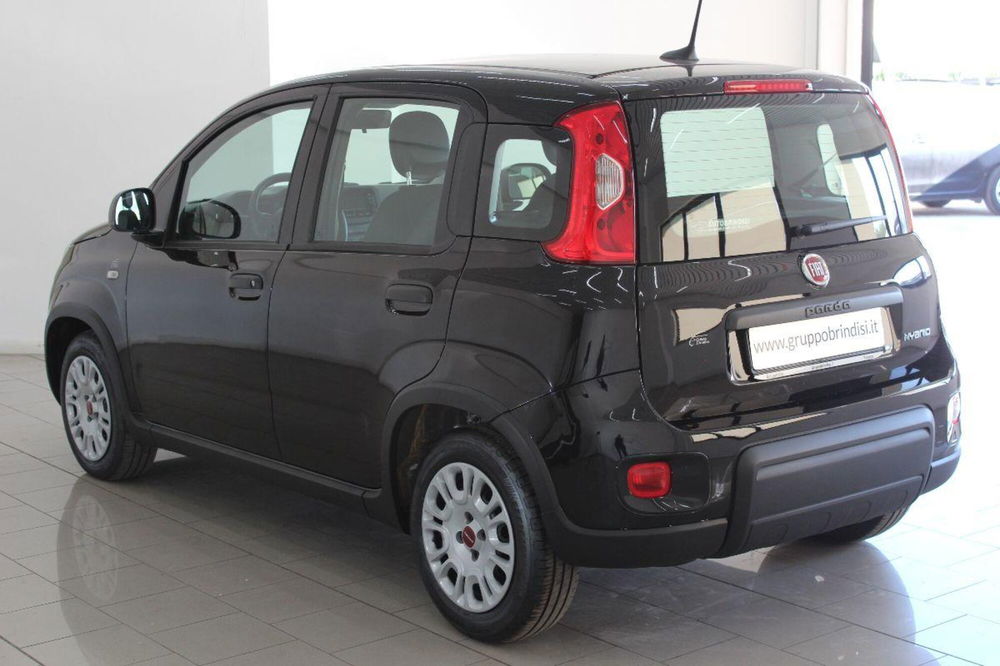 Fiat Panda usata a Potenza (6)