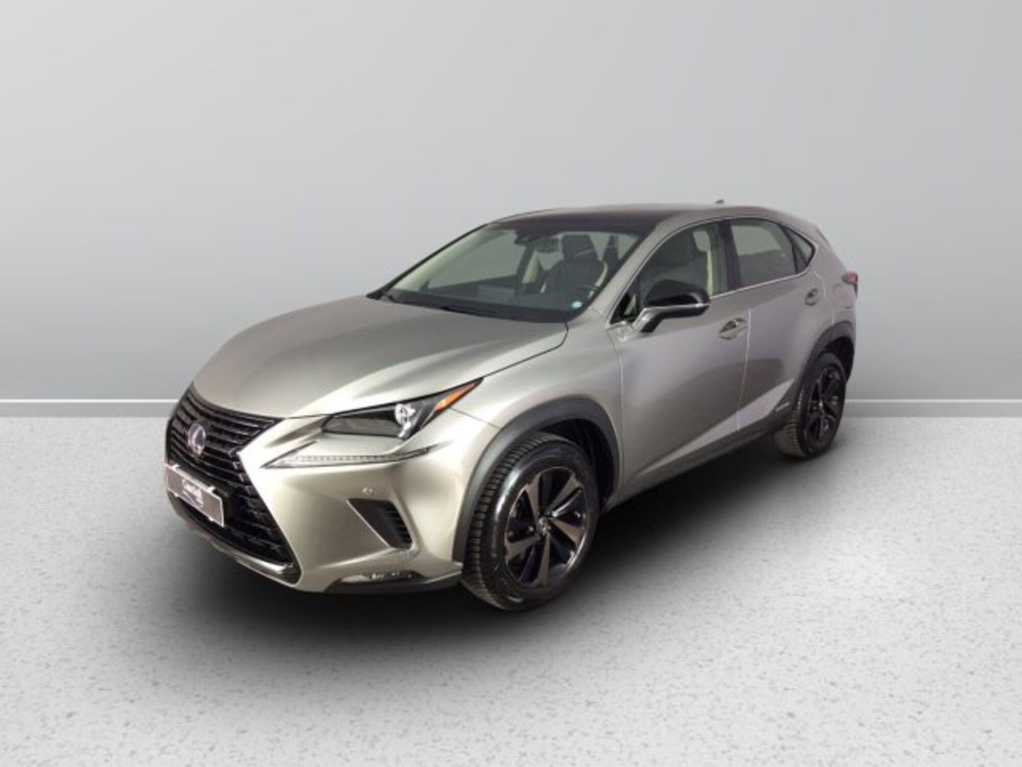 Lexus NX Hybrid 4WD Luxury  del 2019 usata a Mosciano Sant&#039;Angelo