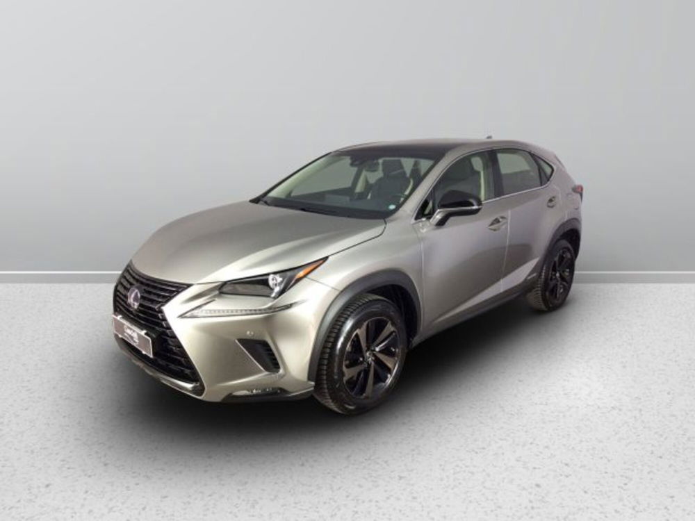 Lexus NX usata a Teramo