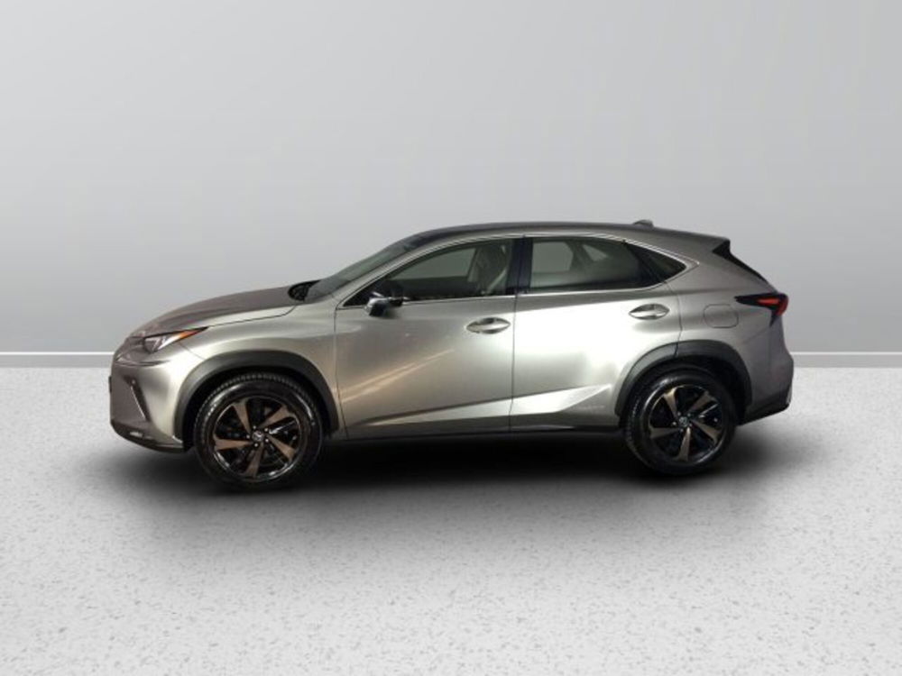 Lexus NX usata a Teramo (3)